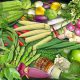 Thai Vegetable Export to the EU